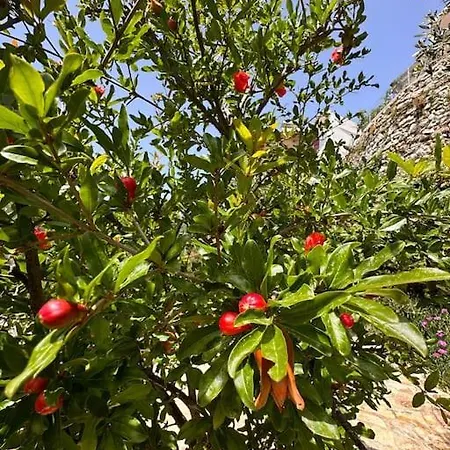Boetiekhuis Stefanos Met Berg En Zeezicht Βασιλίτσι