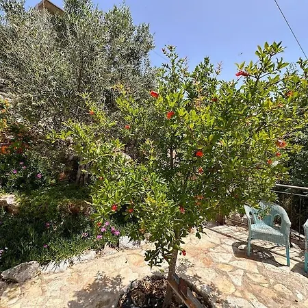 Boetiekhuis Stefanos Met Berg En Zeezicht Holiday home *